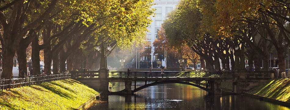 Platz 6 im Städteranking