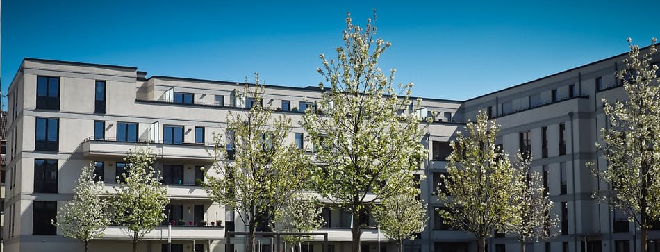 Immobilienpreise steigen weiter an