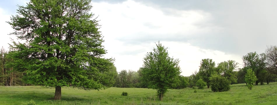 Neubauten in Frechen-Habbelrath