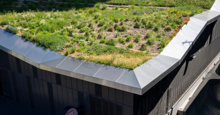 Ein begrüntes Dach im Sinne der Freiraum und Klima Satzung in Frankfurt