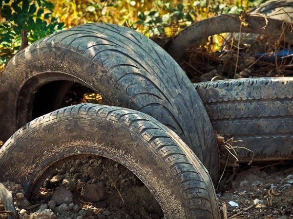 Winterschutz-Tipp: Autoreifen stapeln und Pflanzen reinstellen.