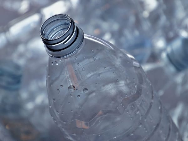 Winterschutz für Pflanze selber bauen mit Plastikflasche.