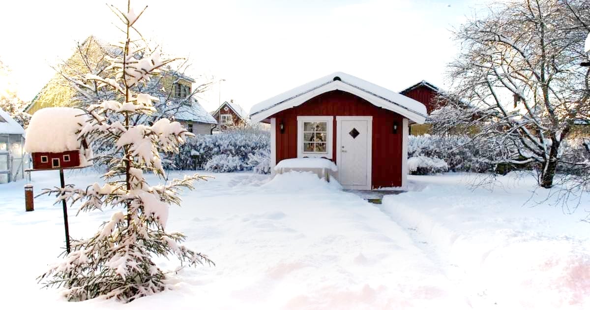 Winterschutz-Tipps für Garten, Balkon und Terrasse