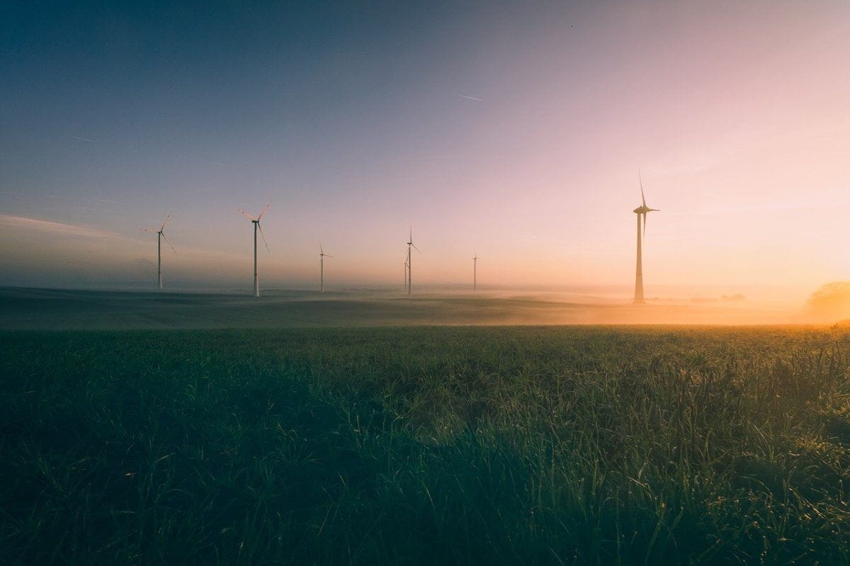 Grüne Wiese mit Windrädern.