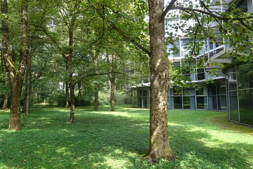 Die Gebäude des Tucherparks sind von vielen Bäumen umsäumt.