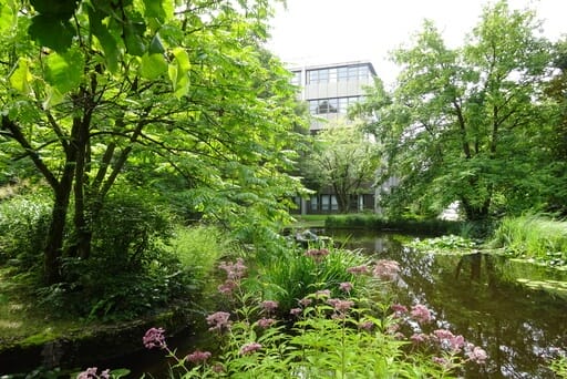 Eine idyllische Oase inmitten des Tucherparks.
