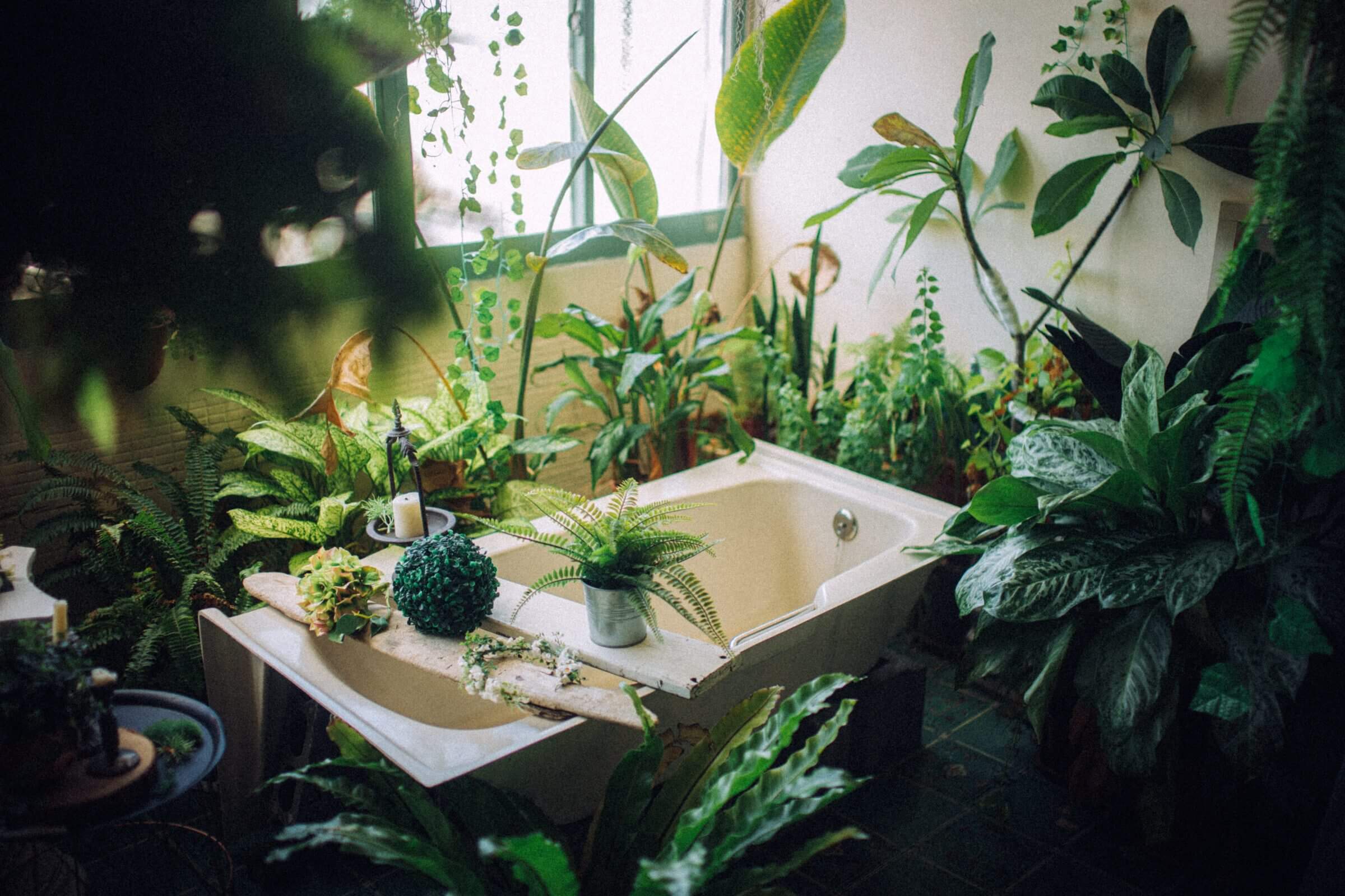 Eine Badewanne umgeben von vielen Pflanzen in einem Badezimmer