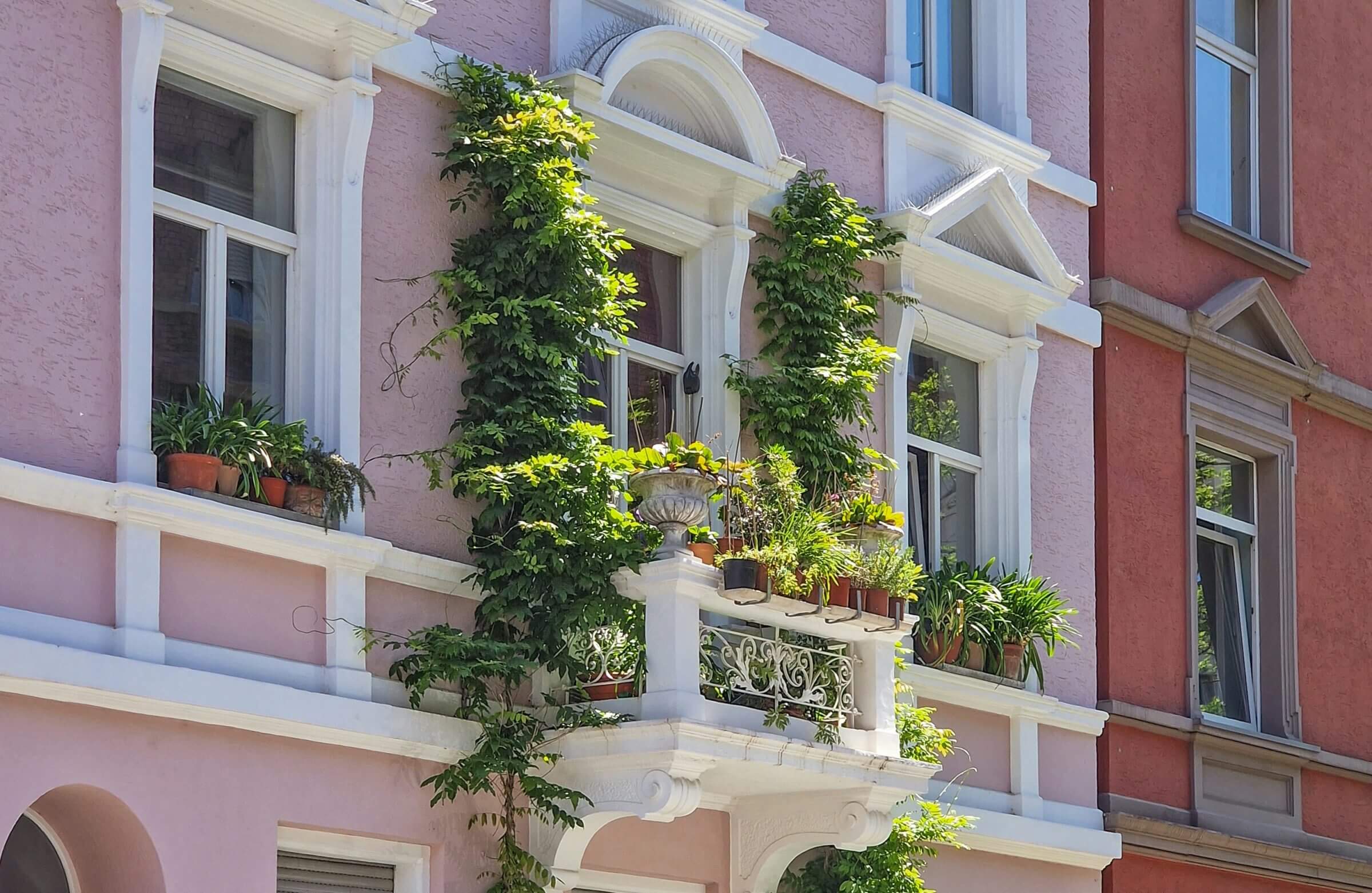 Ein üppig bepflanzter Stadtbalkon.
