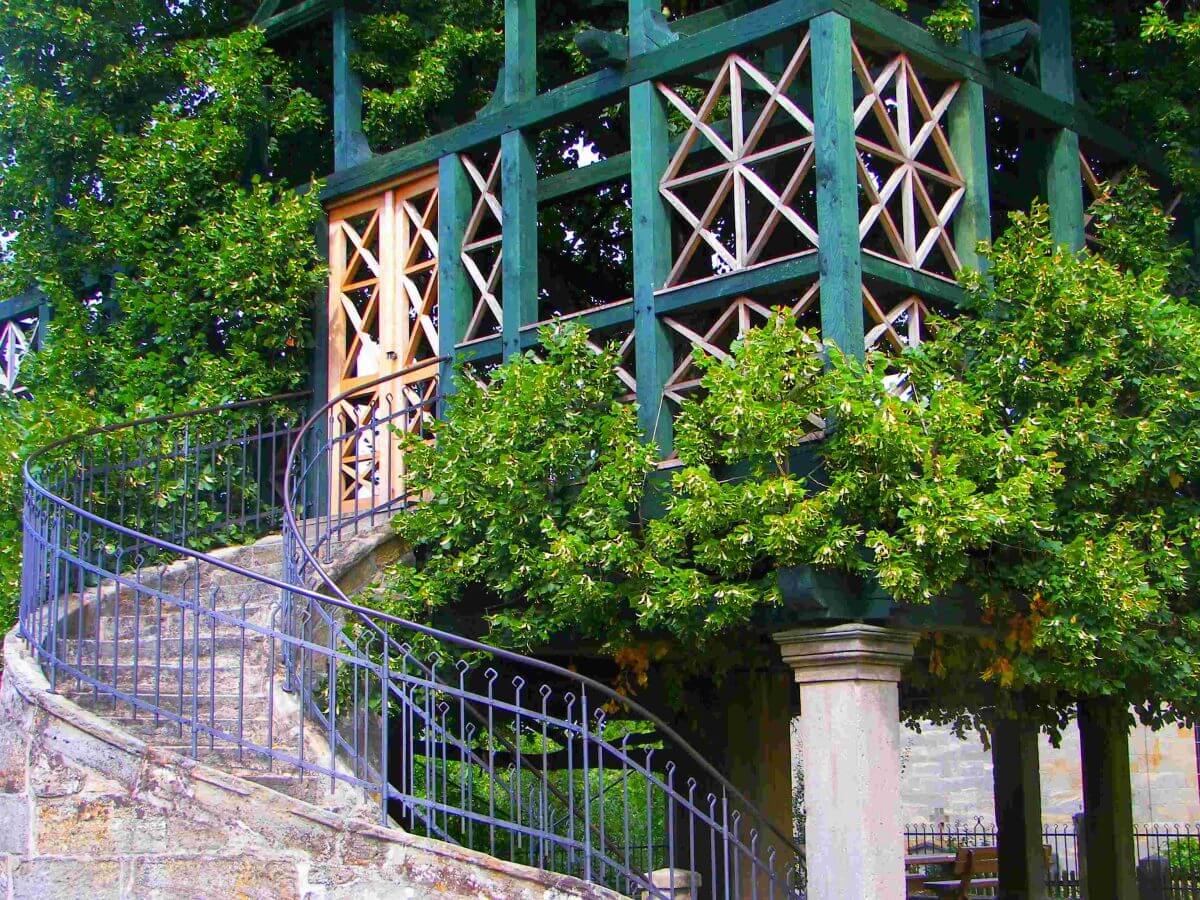 Tanzlinde in Peesten.jpg