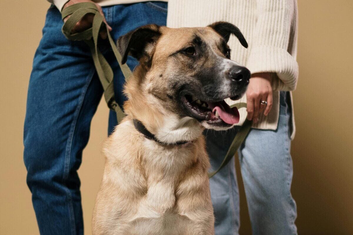 Mann und Frau mit Hund an der Leine